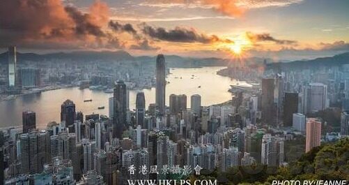 mk官网中文官网-探寻MK中文官网的全方位指南
