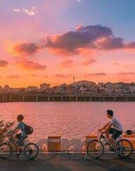 足球比分竞-足球比分竞,激情与智慧的碰撞场